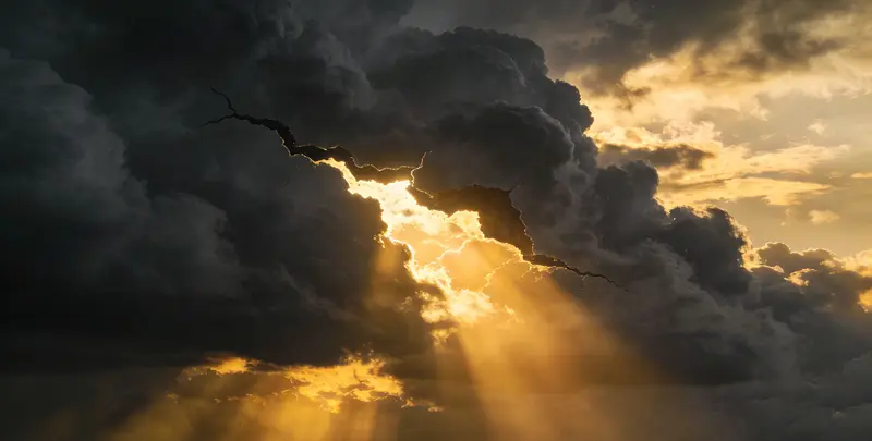 平凉肺癌12基因ctDNA突变检测(血液）图片1